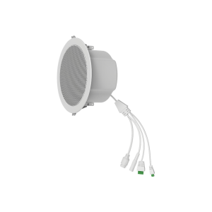 A201 Ceiling Speaker